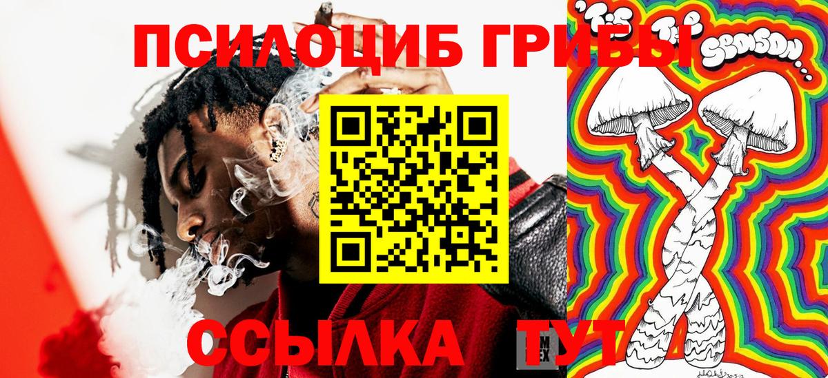 Карпинск  Галлюциногенные грибы Magic Shrooms  Псилоцибиновые грибы Psilocybine cubensis  Вход с VPN 